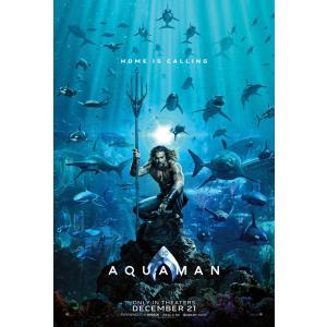 映画ポスター アクアマン AQUAMAN DC 27×40inc (68.9×101.6cm)