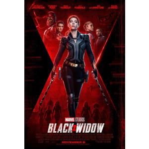 映画ポスター ブラックウィドウ Black Widow マーベル 24×35.6inc