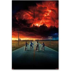 ストレンジャーシングス 映画ポスター シーズン2 US版 24×36インチ (61×91.5cm) ...
