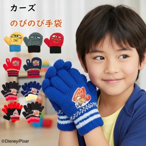 トモクニ（TOMOKUNI） 手袋 仮面ライダーゼッツ スキーグローブ スキー