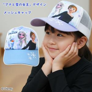 アナと雪の女王 Disney ディズニー アナと雪の女王/エルサ 装飾