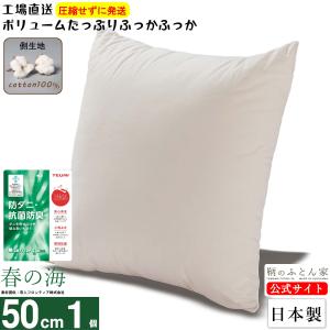 クッション 中身 洗える 日本製 50cm 1個...の商品画像