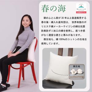 クッション 中身 洗える 日本製 45cm 2...の詳細画像1