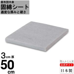 トゥルースリーパー（True Sleeper） 低反発座布団 FN005940 【正規品