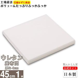 ヌード ウレタン座布団 51×56×4.5cm ウレタン中材 スポンジ ざぶとん