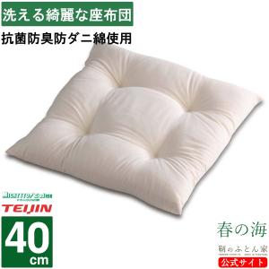 座布団 中身 洗える 日本製 35cm 1枚 テイジン 抗菌 防臭 防ダニ 綿