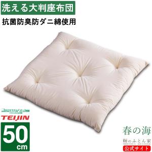 トゥルースリーパー（True Sleeper） 低反発座布団 FN005940 【正規品