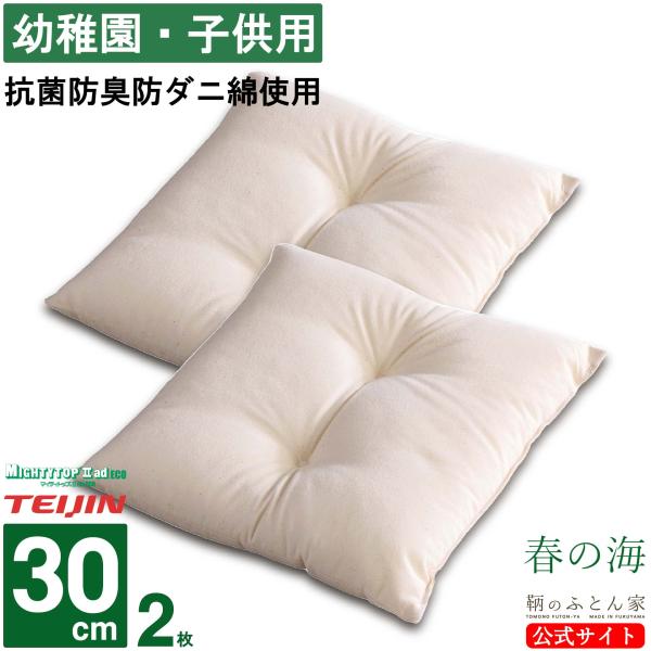 座布団 中身 洗える 日本製 30cm  2枚 テイジン 抗菌 防臭 防ダニ 綿 入園 入学 保育所...