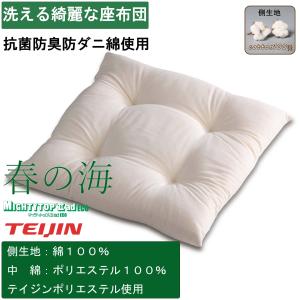 座布団 中身 洗える 日本製 50cm 2枚 ...の詳細画像1