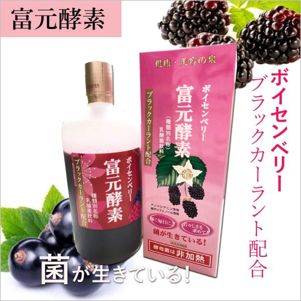 富元酵素ボイセンベリー・ブラックカーラント配合 （1000ml）生きたままの野生酵母菌 乳酸菌飲料