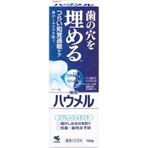 ハウメル 知覚過敏ケア ペースト 薬用ハミガキ 100g 歯の穴を埋める 小林製薬 【医薬部外品】 1個