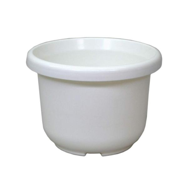 アップルウェアー 輪鉢 F型 6号 ホワイト 浅型 直径約18.5cm 容量約1.5L 日本製 鉢 ...