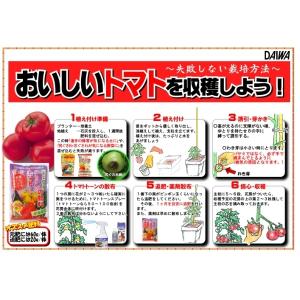 大和 トマト・ナス・キュウリの肥料 600g ...の詳細画像2