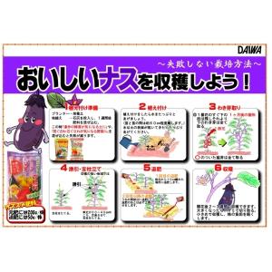 大和 トマト・ナス・キュウリの肥料 600g ...の詳細画像3