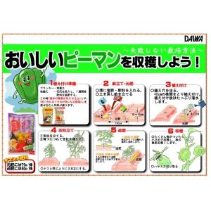 大和 トマト・ナス・キュウリの肥料 600g ...の詳細画像4