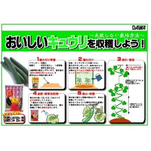 大和 トマト・ナス・キュウリの肥料 600g ...の詳細画像5