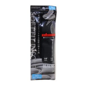 不動技研（FUDOGIKEN） インソール リフレッシュ 24.0〜28.0cm 抗菌 消