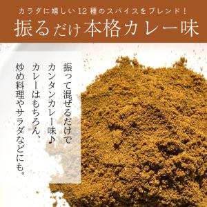 カレーパウダー スリランカ カレー粉 スパイス...の詳細画像2