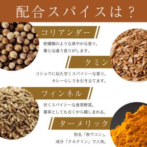 カレーパウダー スリランカ カレー粉 スパイス...の詳細画像3
