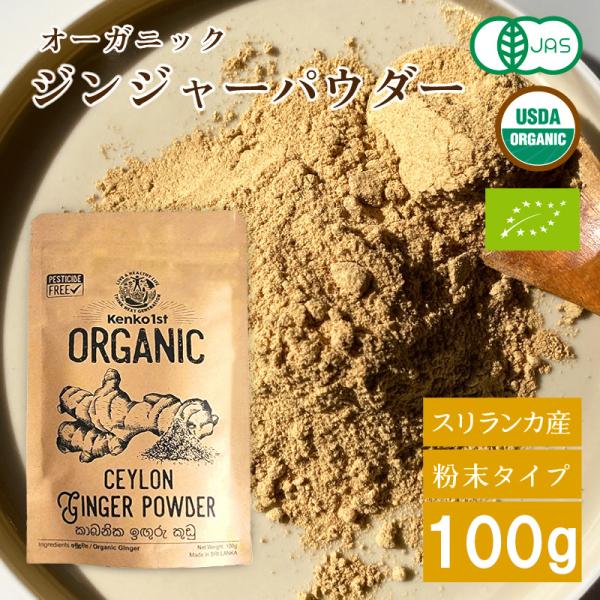オーガニック ジンジャー パウダー 生姜 生姜パウダー ジンジャーパウダー 粉末 100g スパイス...