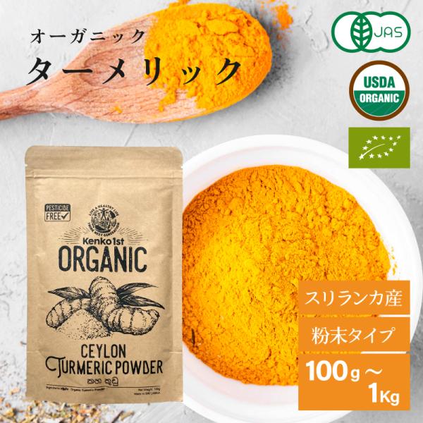 ターメリック パウダー オーガニック 100g 粉末 有機 JAS認証 無添加 ウコン スパイス ハ...