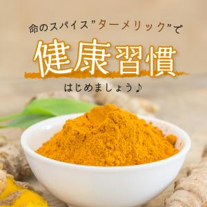ターメリック パウダー オーガニック 100g...の詳細画像1