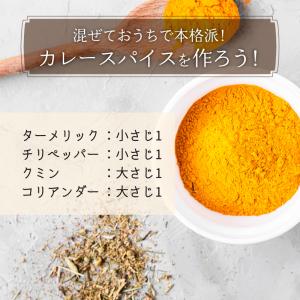 ターメリック パウダー オーガニック 100g...の詳細画像3