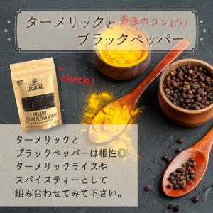 ターメリック パウダー オーガニック 100g...の詳細画像4