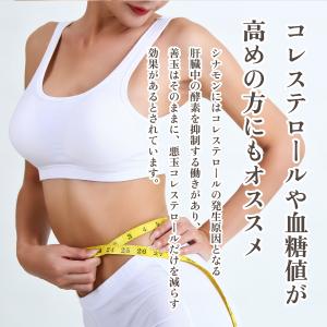 有機 シナモン パウダー 粉末 セイロンシナモ...の詳細画像4