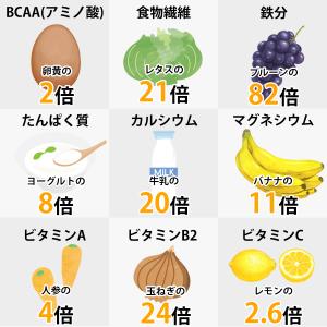 モリンガパウダー 無添加 オーガニック 有機 ...の詳細画像4
