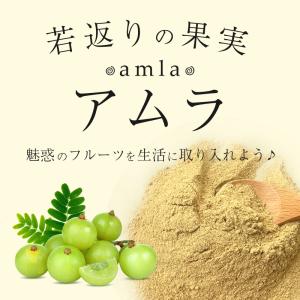 アムラパウダー 無添加 オーガニック 100g...の詳細画像1