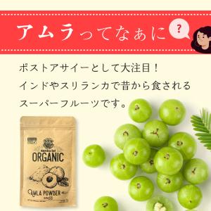アムラパウダー 無添加 オーガニック 100g...の詳細画像2