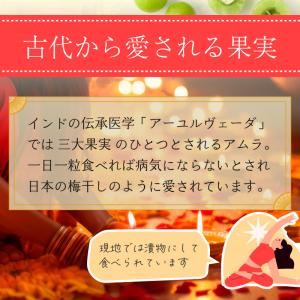 アムラパウダー 無添加 オーガニック 100g...の詳細画像3