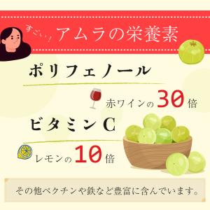 アムラパウダー 無添加 オーガニック 100g...の詳細画像4