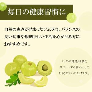 アムラパウダー 無添加 オーガニック 100g...の詳細画像5