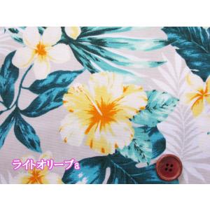 ハワイアン ハイビスカス プルメリア フラワー...の詳細画像1