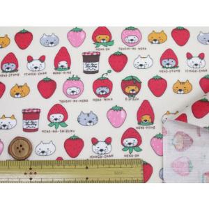 イチゴネコ 苺・ネコ・猫柄 綿キャンバス生地 ...の詳細画像3