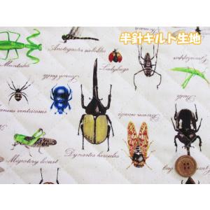 昆虫カマキリの商品一覧 通販 Yahoo ショッピング