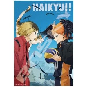 ジグソーパズル 950ピース ハイキュー!! CHRONICLES (34x102cm) 950-48