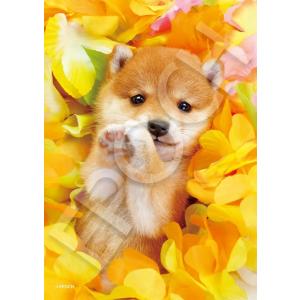 ジグソーパズル 216スモールピース 犬　フローラルパピー (18.2×25.7cm) 　04-301(エポック社)梱60cm