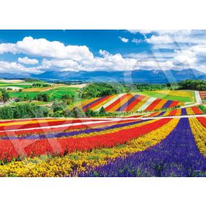 ジグソーパズル 2000スーパースモールピース 日本風景(世界最小) 虹色の四季彩の丘−北海道 (3...