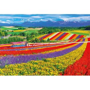 ラッセンパズル Amazon.co.jp: 450ピース 光るジグソーパズル パズルの達人