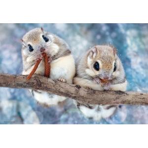 ・ジグソーパズル 300ピース もぐもぐエゾモモンガ (38×26cm)　300-102(ビバリー)...