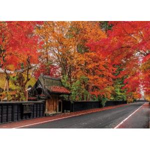 ・ジグソーパズル 600ピース  角館 秋色に染まる武家屋敷通り (53×38cm)　600-030...