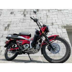 スペシャルパーツ武川 06-00-0051 SP武川 レッグバンパー＆シールド