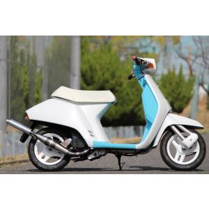 新品!!スーパーDIO(AF27．28) ZX ディオ ショットガン