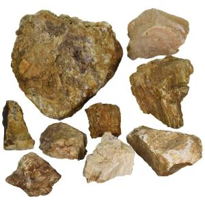 カミハタ 木化石 レイアウトセット (実際の形状や色味と異なります)｜tomy-zone