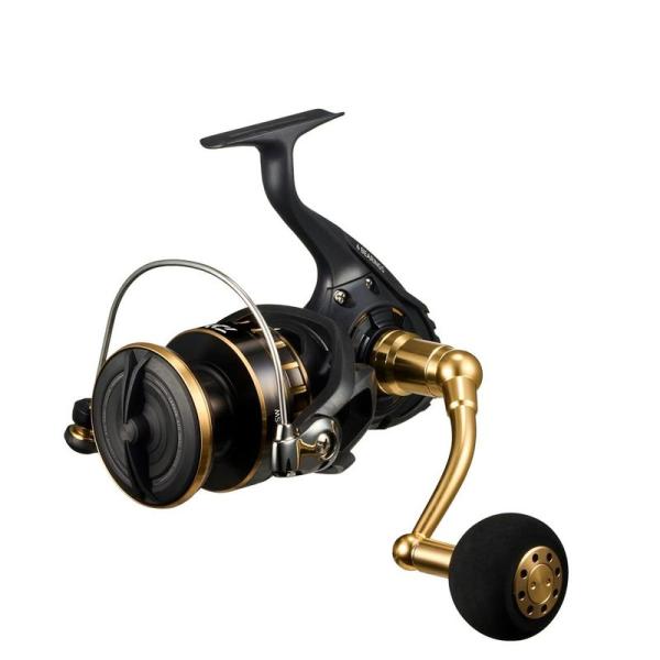 ダイワ(DAIWA) スピニングリール 23BG SW 8000-H