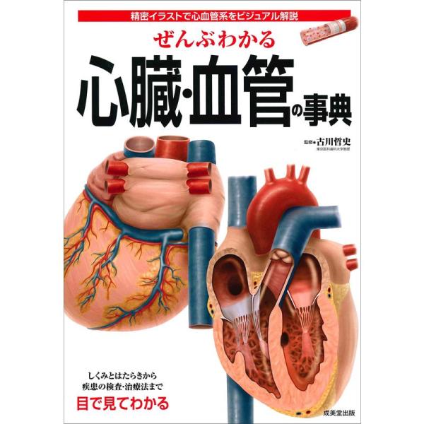 ぜんぶわかる心臓・血管の事典