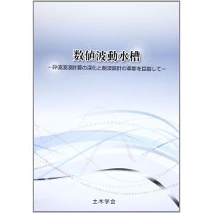 数値波動水槽?砕波波浪計算の深化と耐波設計の革新を目指して